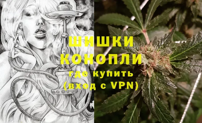 Бошки марихуана THC 21%  Судогда 